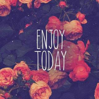 Enjoy wallpaper