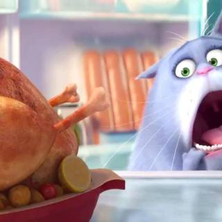 The Secret Life of Pets wallpaper