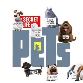 The Secret Life of Pets wallpaper