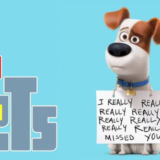 The Secret Life of Pets wallpaper