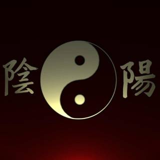 Yin And Yang wallpaper