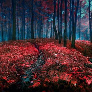 Landscape 2017 wallpaper