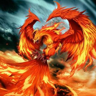 Phenix wallpaper