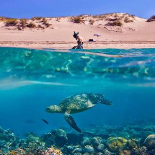 Underwater HD wallpaper