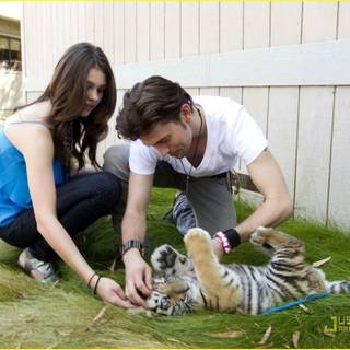 Jackson Rathbone wallpaper