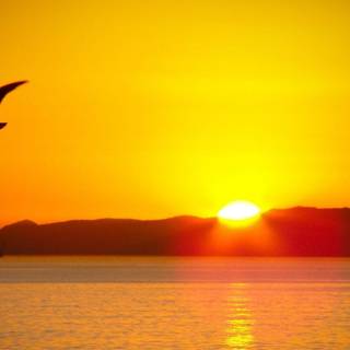 Sunshine HD wallpaper