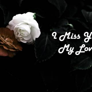 My love HD wallpaper