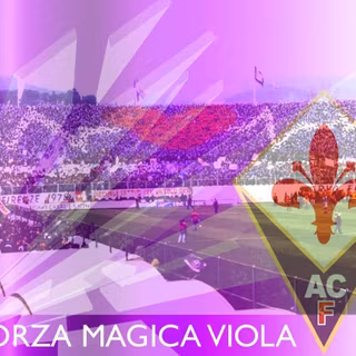 ACF Fiorentina wallpaper