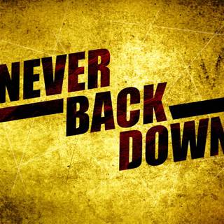 Never Back Down wallpaper