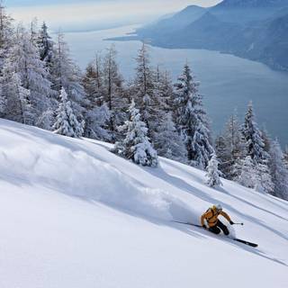 Winter Is Here wallpaper