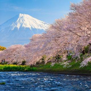 Mount Fuji HD wallpaper