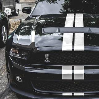 Mega Millions wallpaper