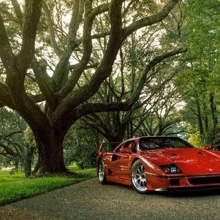 F40 wallpaper