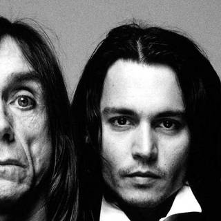 Iggy Pop wallpaper