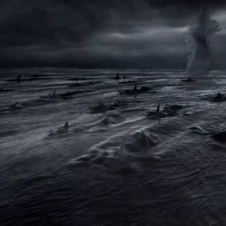 Sharknado wallpaper