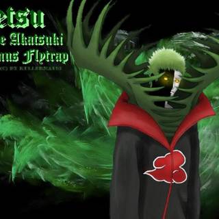 Pein Akatsuki wallpaper