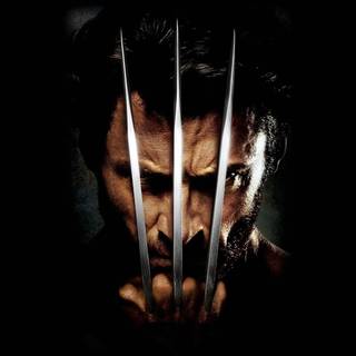 Wolverine HD wallpaper