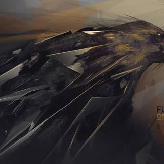 Raven HD wallpaper