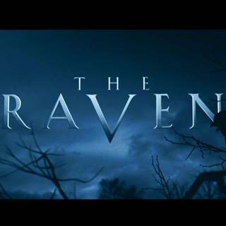 Raven HD wallpaper