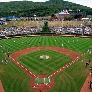 Little League World Series wallpaper