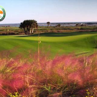 PGA Championship wallpaper