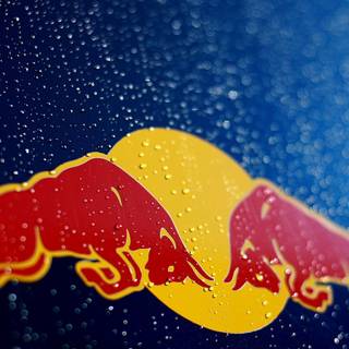 Red Bull HD wallpaper