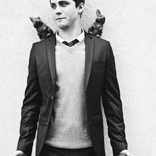 Logan Lerman wallpaper