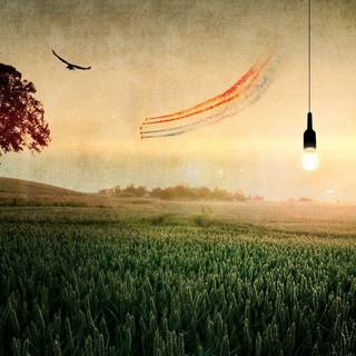 Illustrations wallpaper