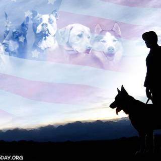 Military Appreciation wallpaper