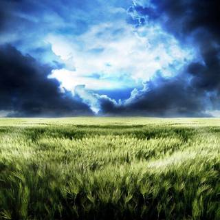 Storm wallpaper