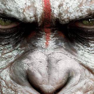 Planet of the Apes wallpaper