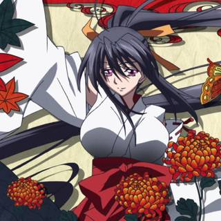 High School Dxd HD wallpaper