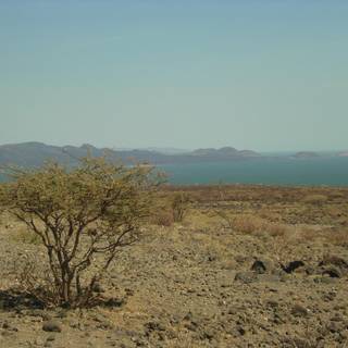 Lake Turkana wallpaper