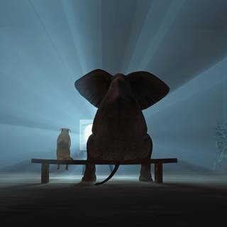 World Elephant Day wallpaper