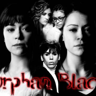 Orphan Black HD wallpaper
