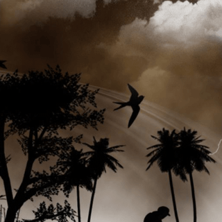 Alone forever wallpaper