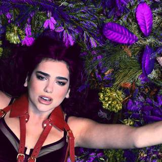 Dua Lipa wallpaper