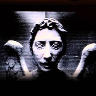 Weeping Angel wallpaper