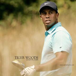 Tiger Woods wallpaper