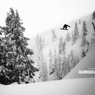 Quiksilver wallpaper