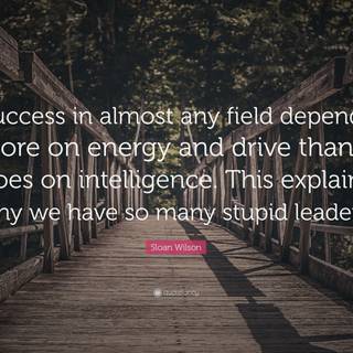 Steven Wilson wallpaper