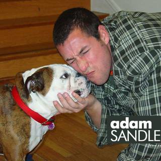 Adam Sandler wallpaper