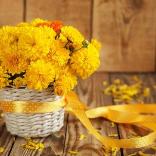 Chrysanthemum wallpaper