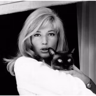 Monica Vitti wallpaper