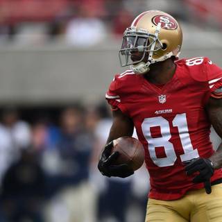 Anquan Boldin wallpaper