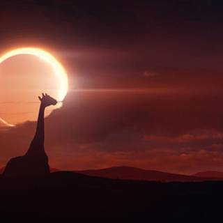 Eclipse day wallpaper