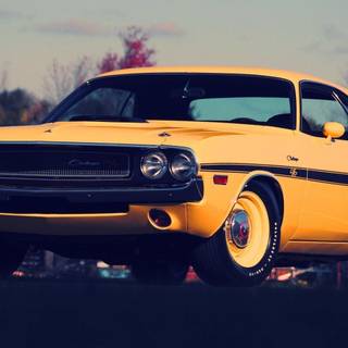 1970 Dodge Challenger wallpaper