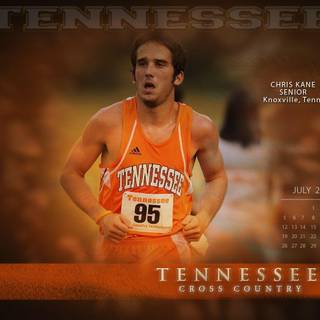 Tennessee Volunteers wallpaper