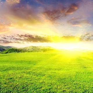 Sunlight HD wallpaper