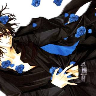 Kaname Kuran wallpaper